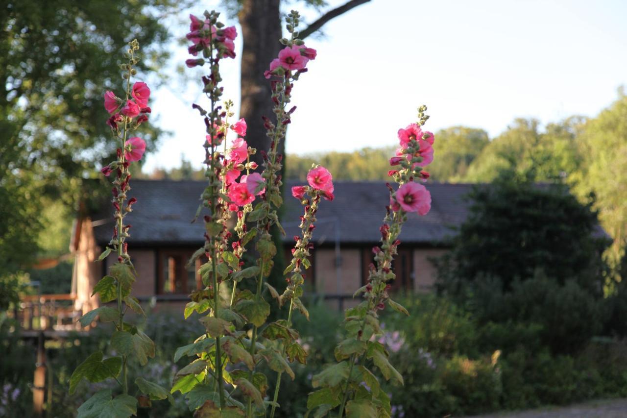 Chalet Forsthof Everstorf Grevesmuehlen Exterior foto