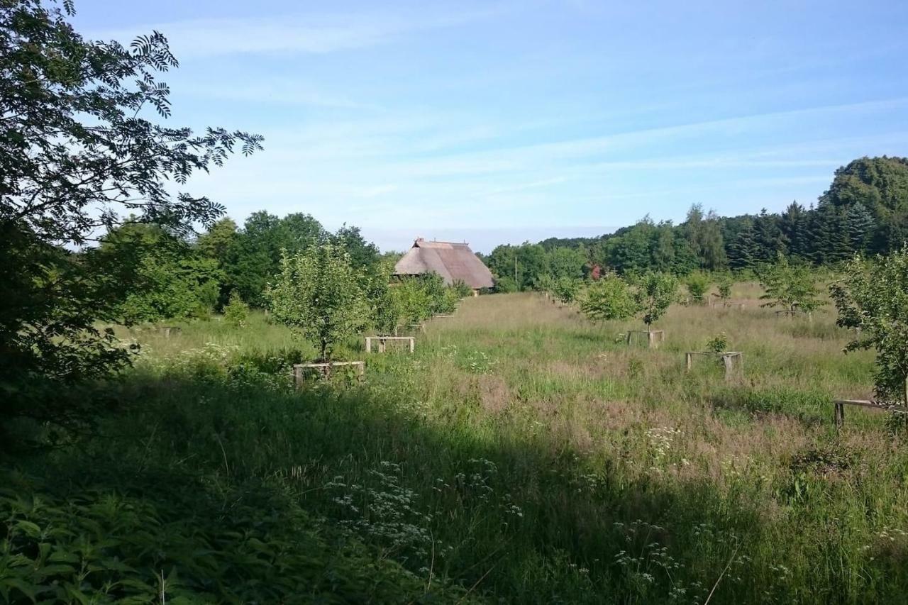 Chalet Forsthof Everstorf Grevesmuehlen Exterior foto